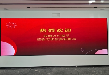 聯(lián)通領(lǐng)導蒞臨我司考察交流